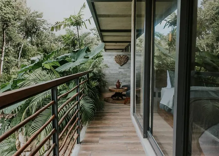 Cenote + Swim-up + Luxury